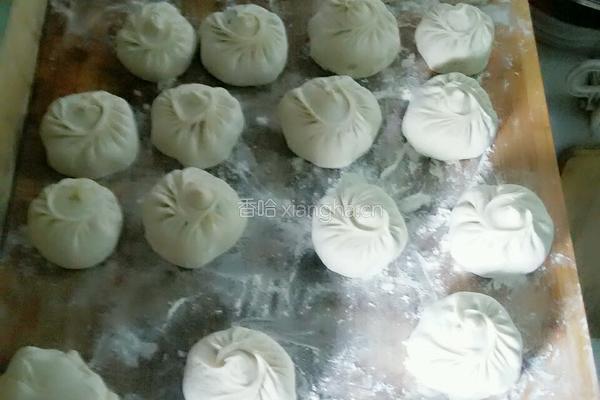 地皮菜包子的做法图解18