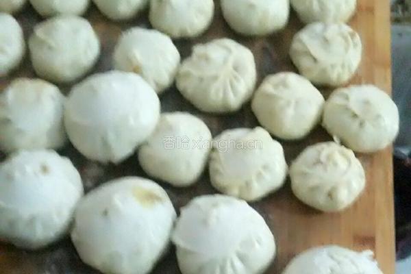地皮菜包子的做法图解20