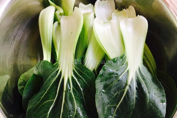 香菇青菜的做法图解5