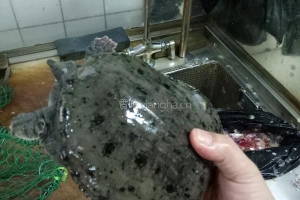 响螺片淮山枸杞汤的做法图解2