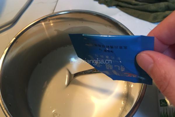 自制酸奶的做法图解5