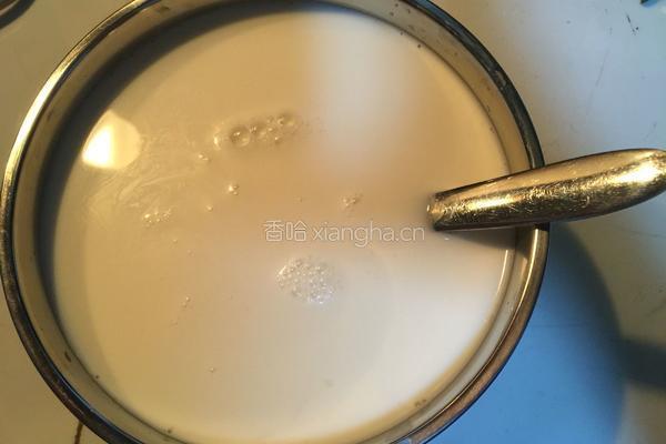 自制酸奶的做法图解6