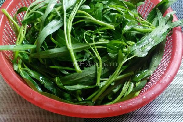 蒜仁空心菜的做法图解1