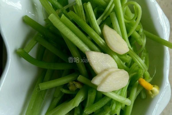 炒南瓜花的做法图解3