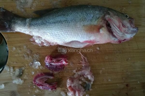清蒸鲈鱼的做法图解1