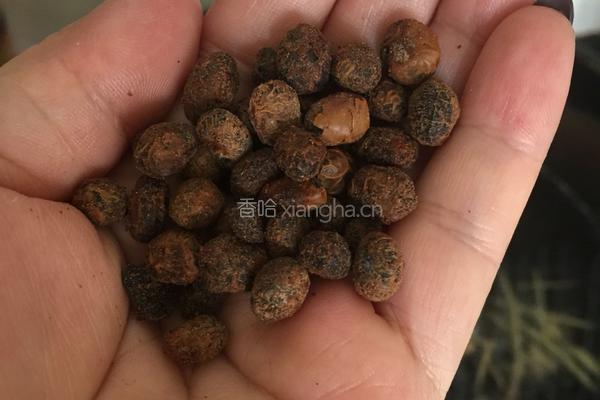 豉香辣鱼汤的做法图解3