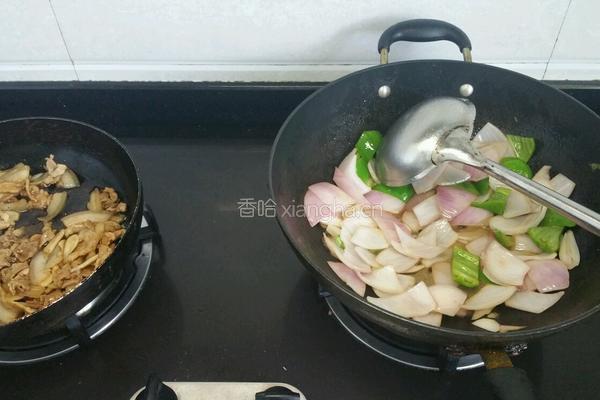 洋葱炒肉的做法图解3