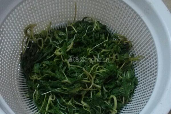 炒麻叶的做法图解3
