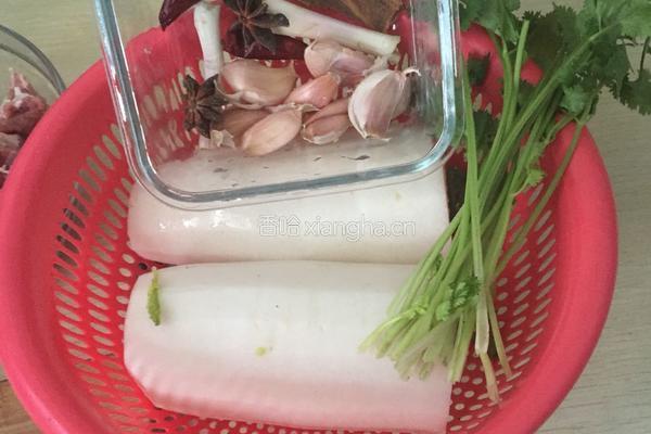 牛腩煲萝卜高压锅版的做法图解2