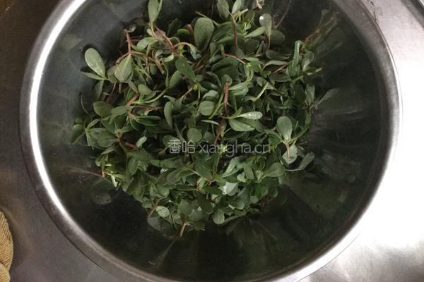 马蜂菜锅贴（马齿苋）的做法图解1