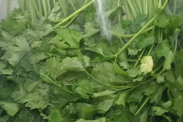 毛芹菜馅饺子的做法图解4