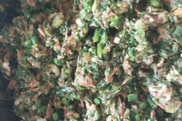 毛芹菜馅饺子的做法图解12