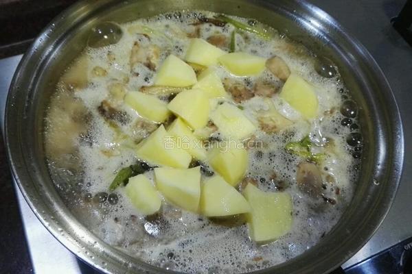 啤酒土豆鸡的做法图解4