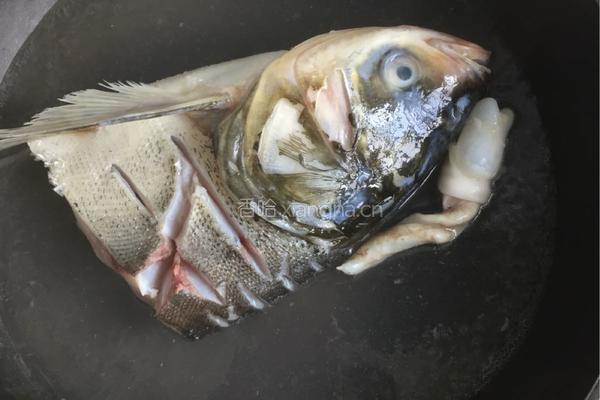香鲜鱼头豆腐汤的做法图解3