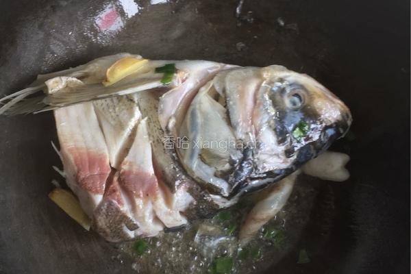 香鲜鱼头豆腐汤的做法图解4