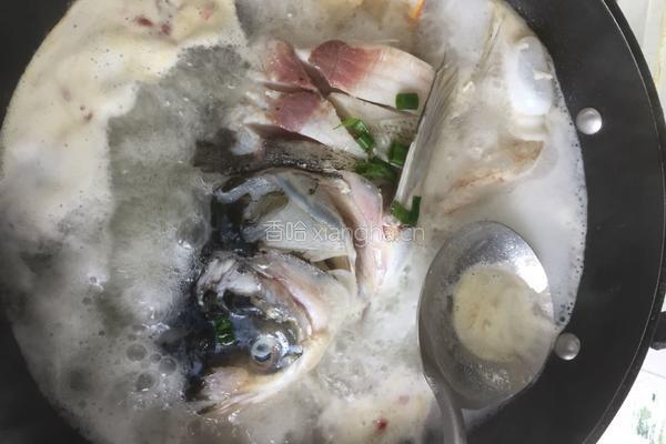 香鲜鱼头豆腐汤的做法图解6