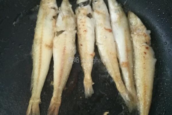 煎沙尖鱼的做法图解4