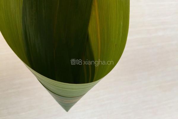 金丝小枣粽子的做法图解4