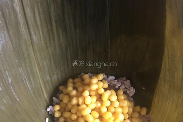 五香绿豆瘦肉粽的做法图解10