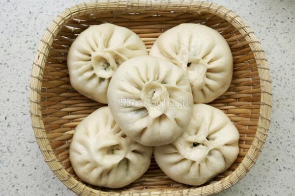 茴香肉包子的做法图解25