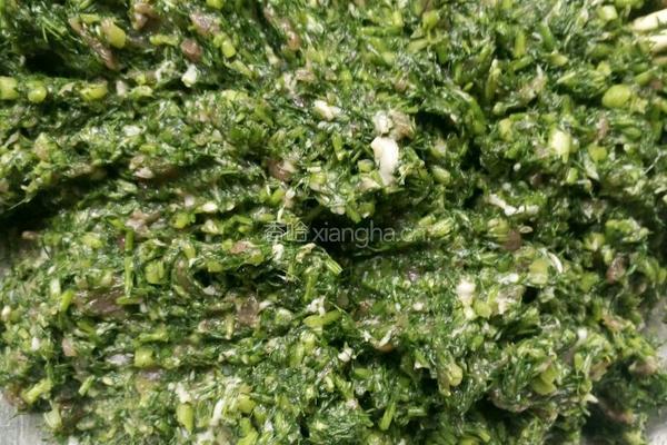 茴香肉包子的做法图解13