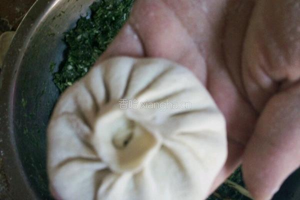 茴香肉包子的做法图解18