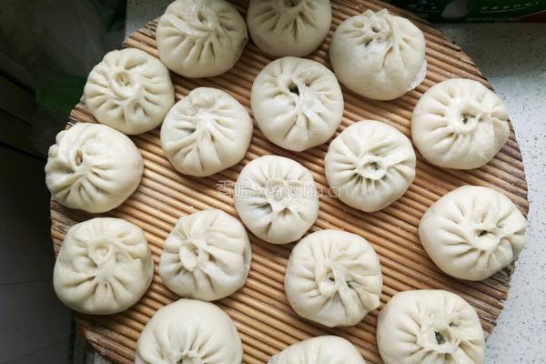 茴香肉包子的做法图解24