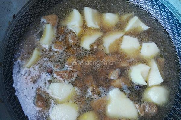 土豆炖鸡块的做法图解5