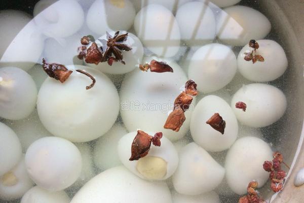 卤蛋的做法图解3