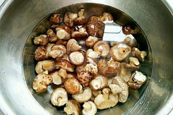 油焖小花菇的做法图解1