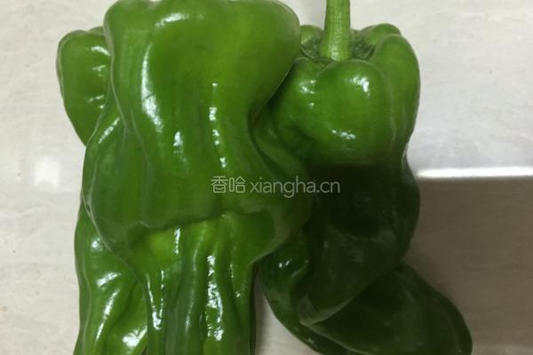 茭白青椒肉丝的做法图解2