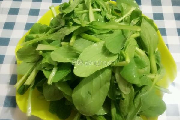 鸡毛菜炒百叶丝的做法图解2