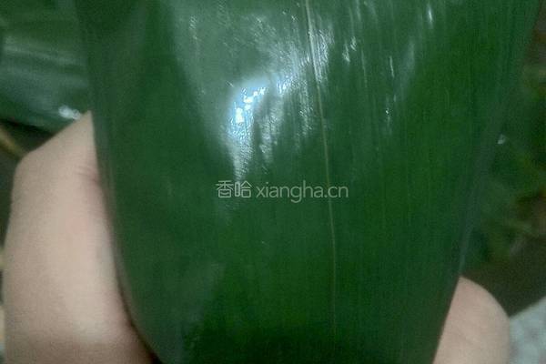 缤纷粽子的做法图解8