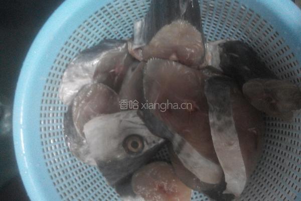 香煎马胶鱼的做法图解1