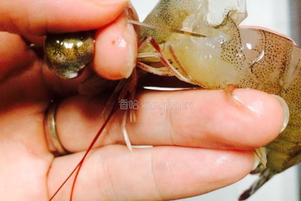 虾的处理的做法图解2