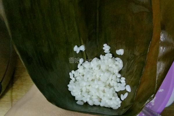 清香豆沙粽的做法图解12