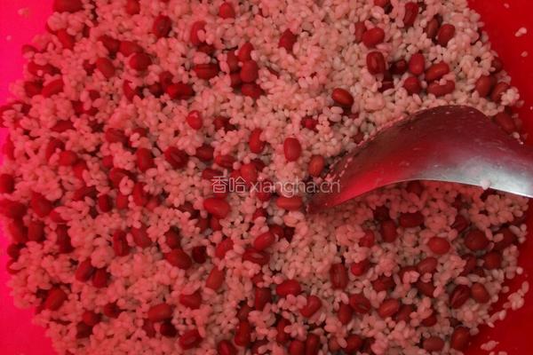 蜜枣粽子的做法图解2