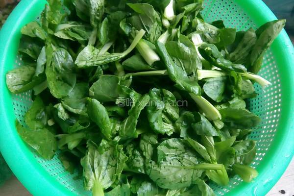 煎饺的做法图解5
