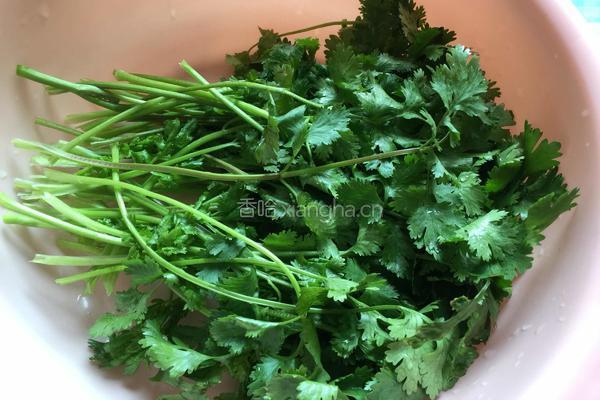 孜然羊肉的做法图解4