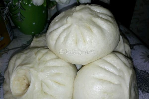 羊肉茴香包