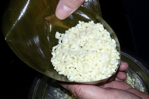 蜜枣甜粽的做法图解8