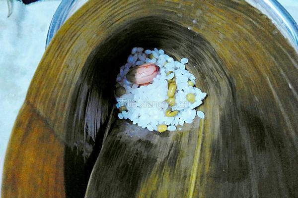 绿豆花生蜜枣粽(三角粽)的做法图解9