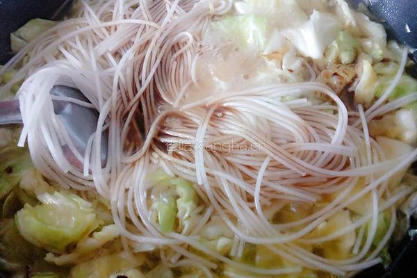 卷心菜炖粉条的做法图解7