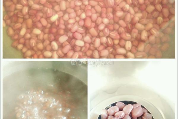 自制红豆沙的做法图解2