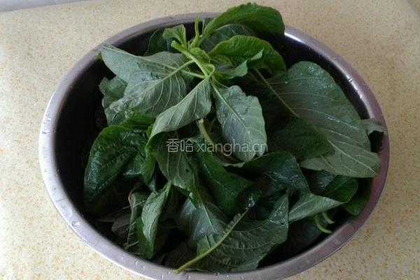 清炒蔊菜的做法图解1