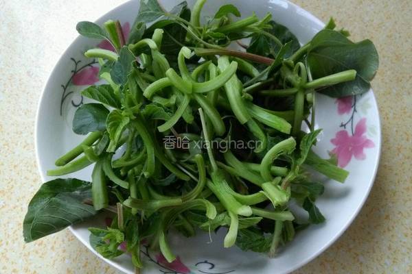 清炒蔊菜的做法图解2
