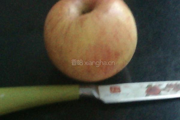 萃取苹果汁的做法图解2