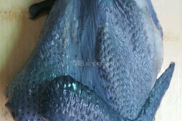 香菇乌鸡汤的做法图解3