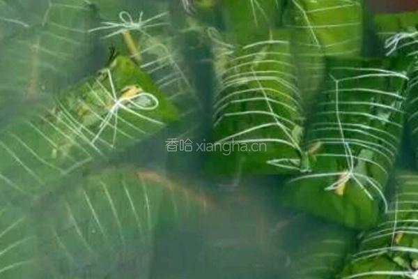 猪仔粽的做法图解8