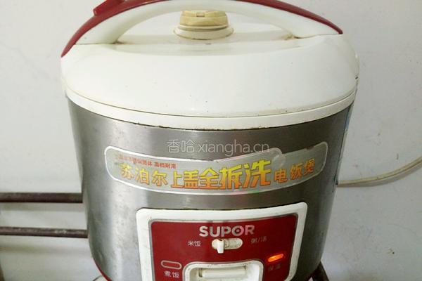 电饭煲自制酸奶的做法图解9